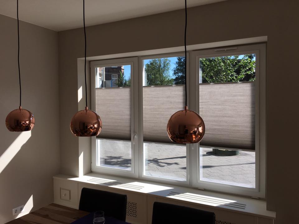 14457496_1285320271502578_1648464105372801651_n